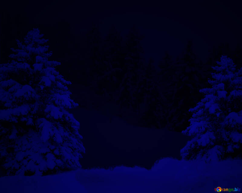 背景夜クリスマスの森 №41332