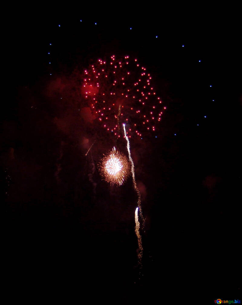 Fireworks flower №41357