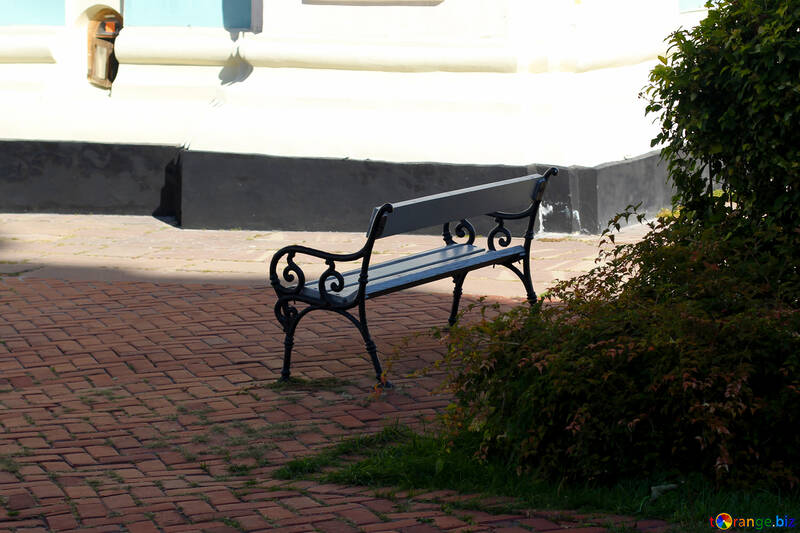 Bench in the shade of a tree №41856