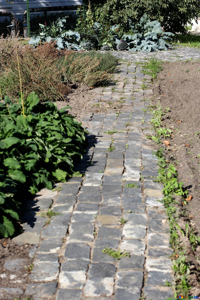 Stone path in the garden №41927