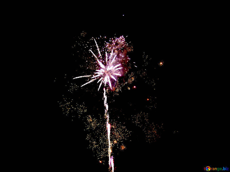 Fiore fuochi d`artificio di notte №41355