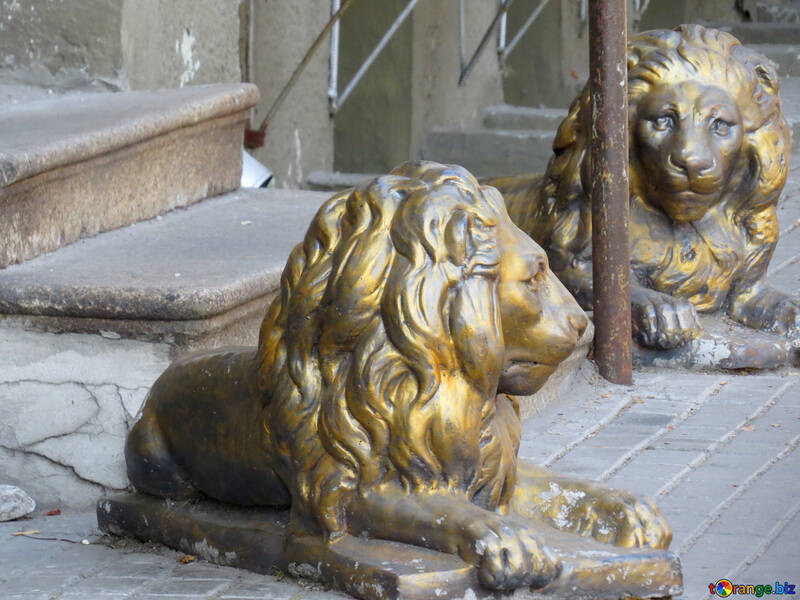 Sculptures de lions à l`entrée №41240