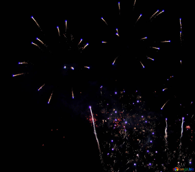 Fireworks in the sky №41354