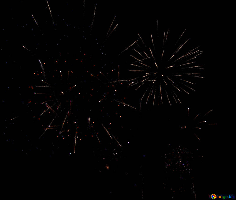 Fireworks in the dark sky №41352