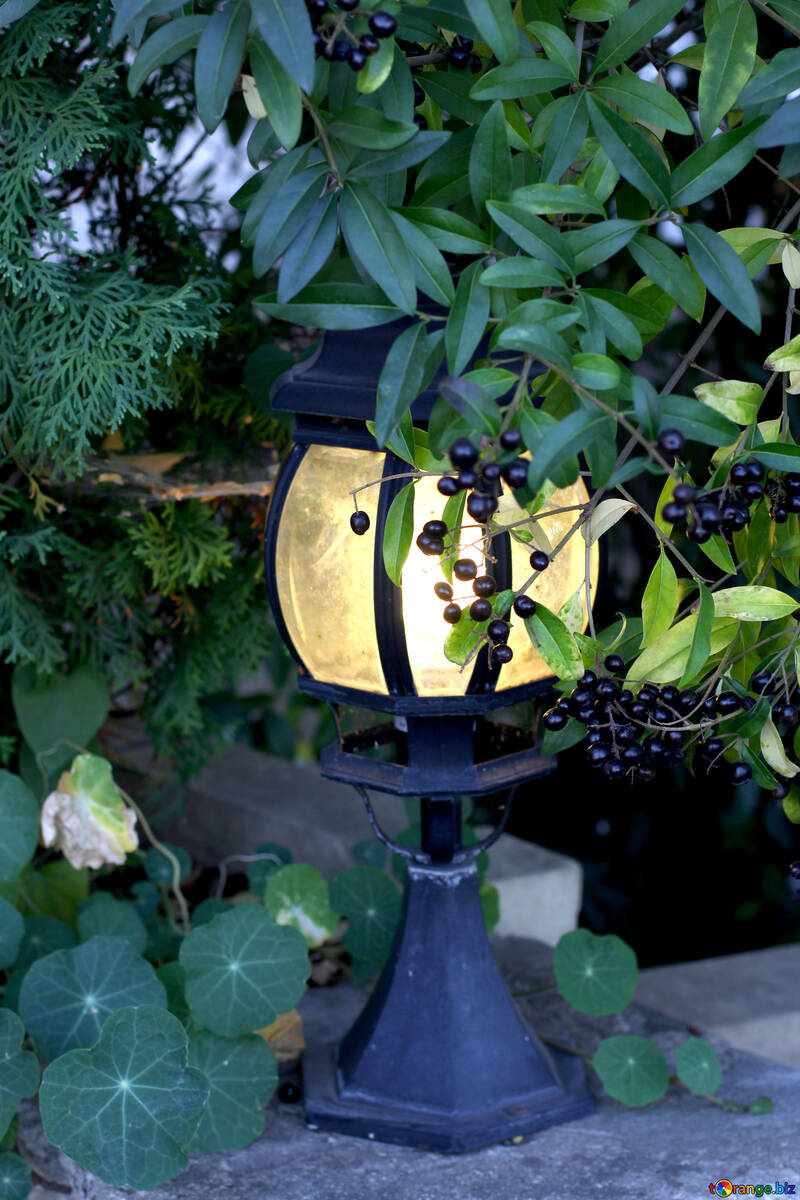Lámpara de la calle en el jardín №41738