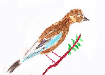 Детский рисунок птица сойка №42722