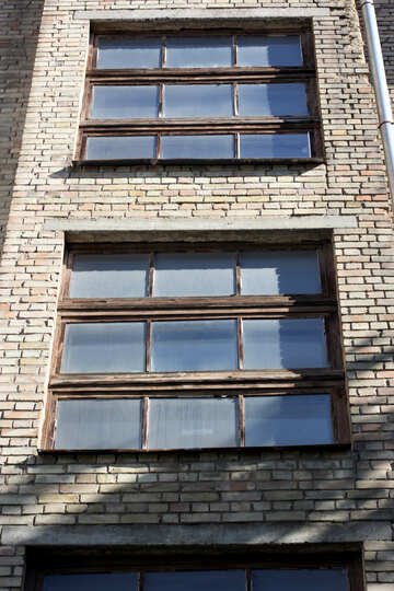 Die Fenster in der Parade №42127