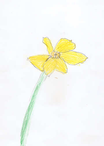 Children`s drawing a flower daffodil №42752