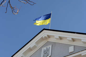 Bandera de Ucrania sobre el edificio №42032