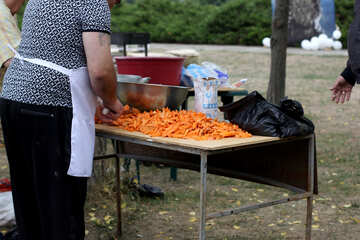 Cutting carrots №42321