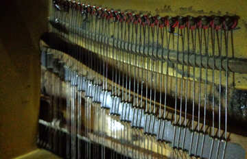 Stringed instrument №42947