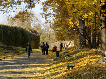 Wandern im Herbst Park №42215