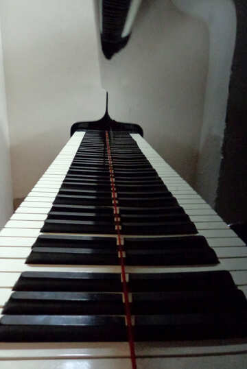 Tasti di un pianoforte №42949