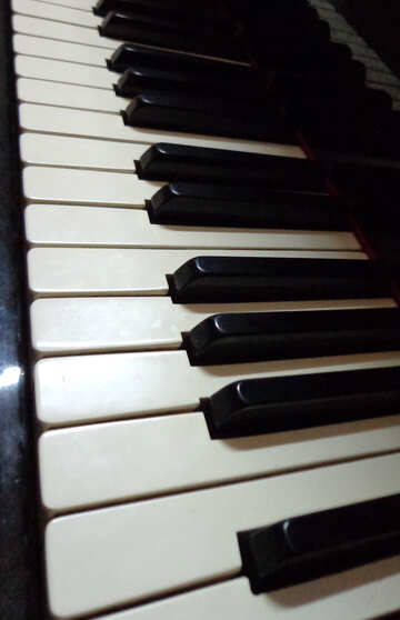Tasti di un pianoforte №42952