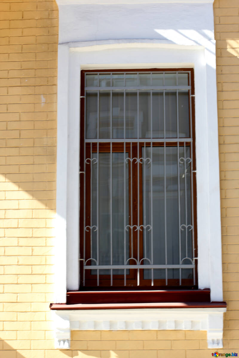 Window with bars №42037