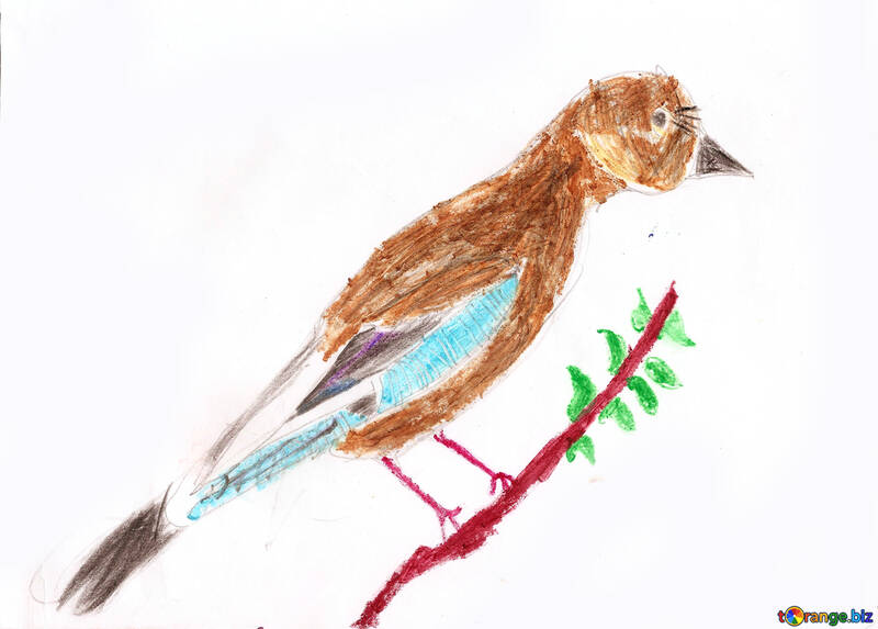 L`oiseau dessin pour enfants jay №42722