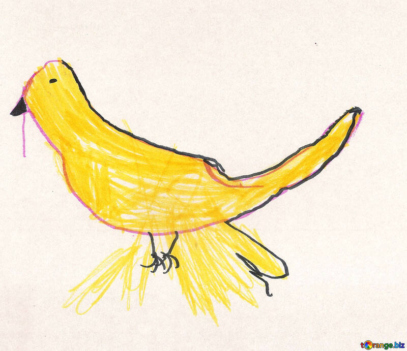 Children`s drawing bird №42851