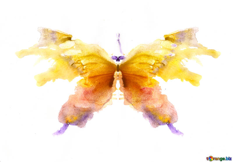 Butterfly Graphics №42695