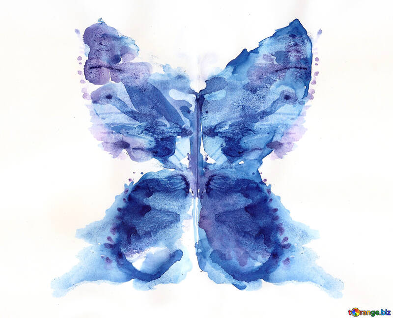 Schmetterlings-Farbgrafiken Bilder №42690