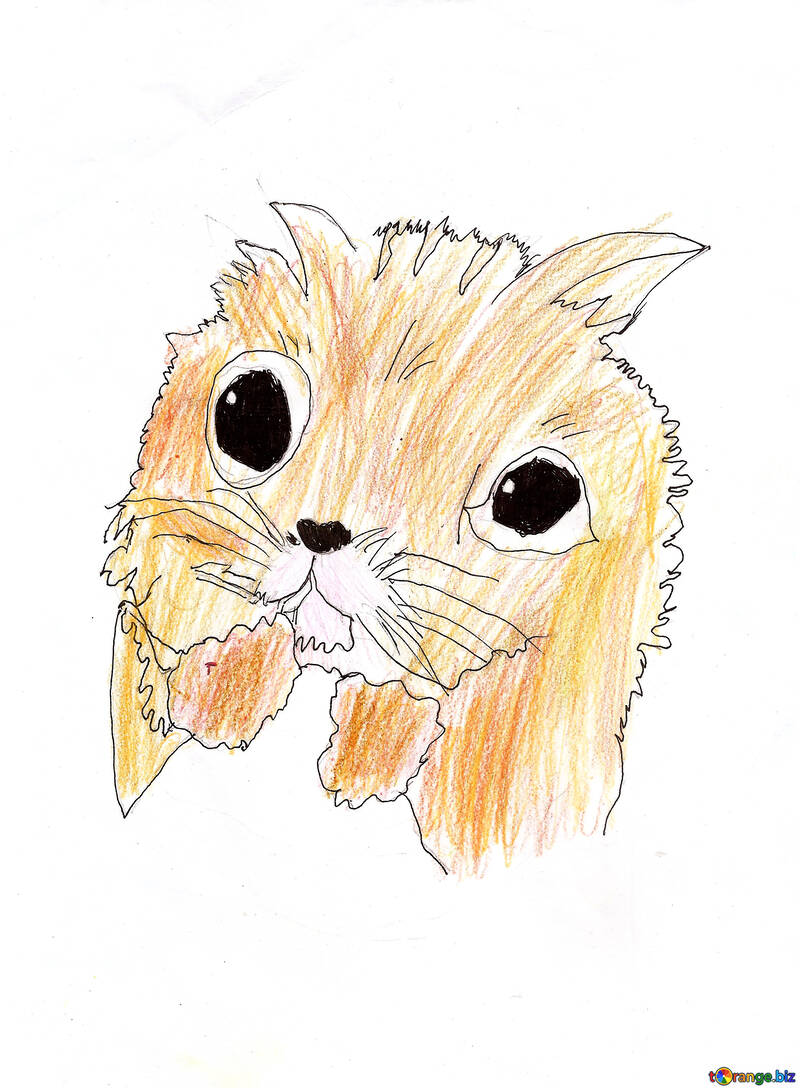 Child`s drawing cat №42885