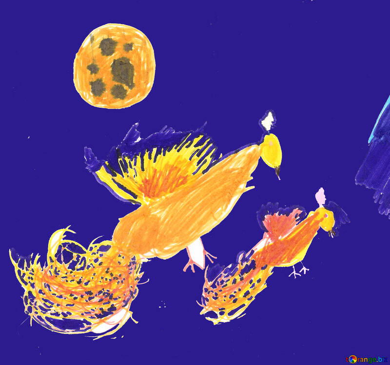 Children`s drawing nocturnal birds №42721