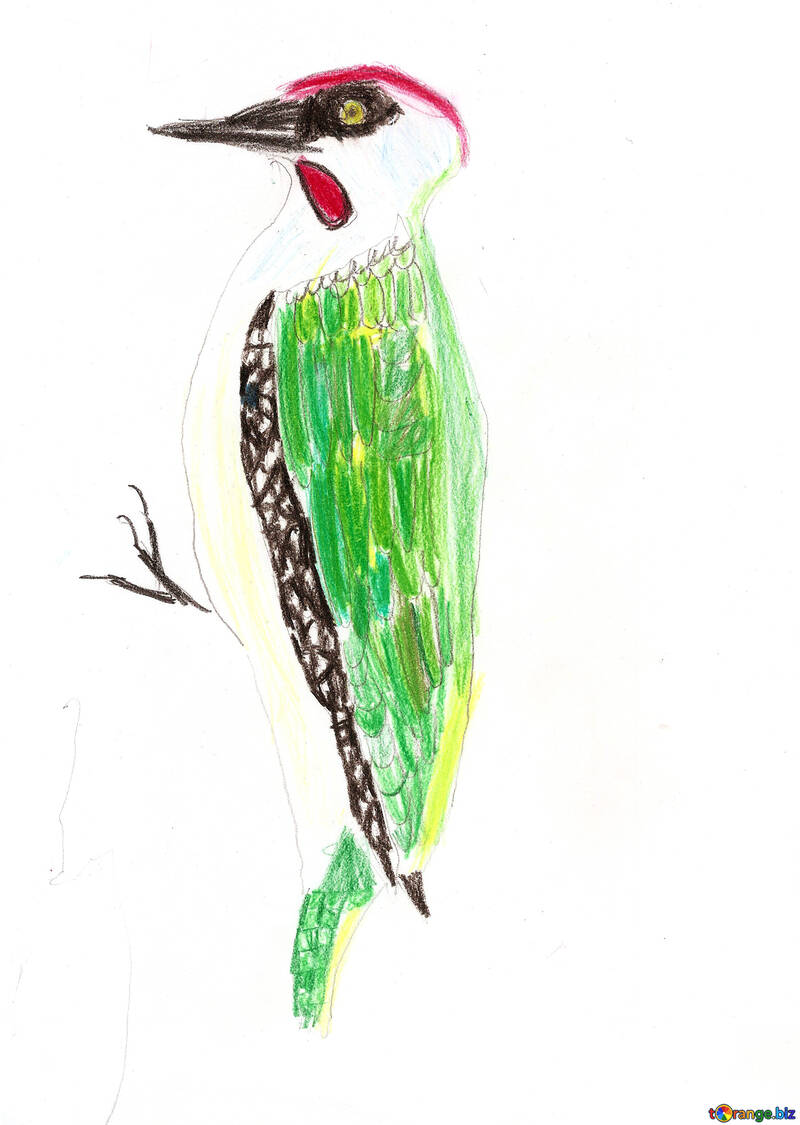 Children`s drawing woodpecker №42764