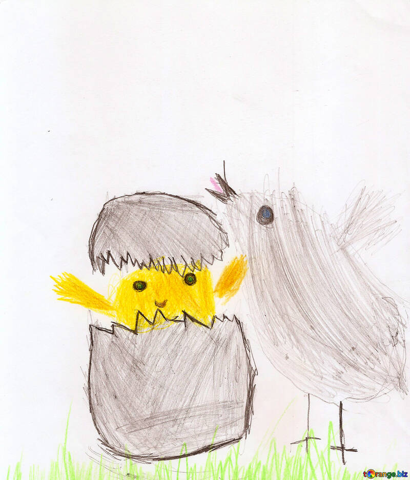 Pollo dibujo infantil №42831