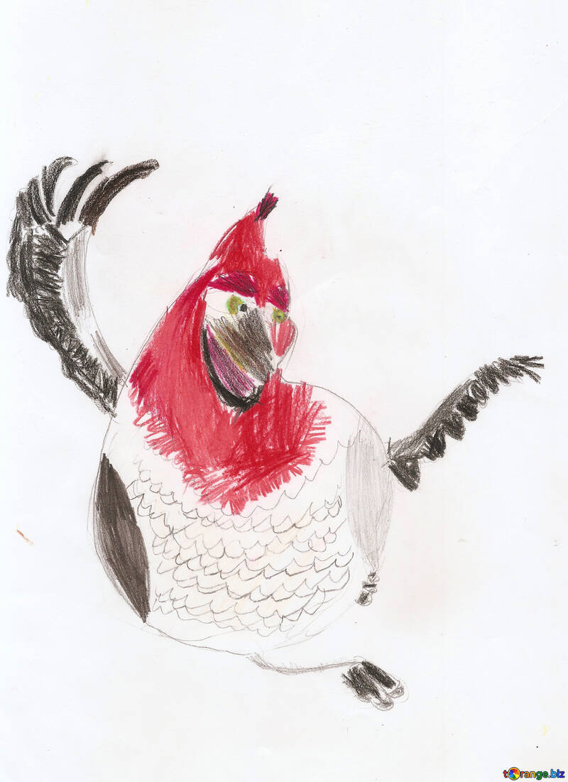 Pollo dibujo infantil №42867