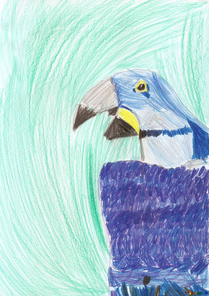 Le dessin du perroquet de l`enfant №42757