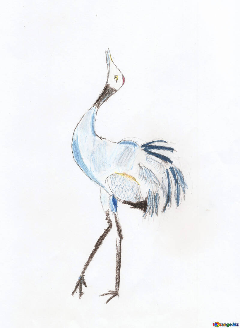 Pájaros del baile del dibujo del niño №42761