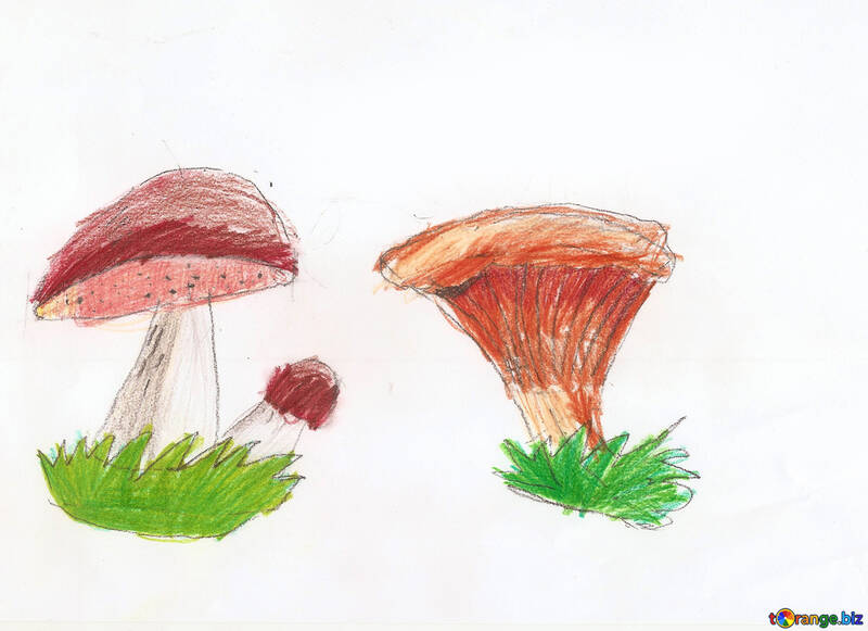 Children`s drawing mushrooms №42763