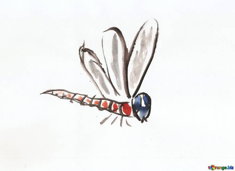 Children`s drawing a dragonfly №42821
