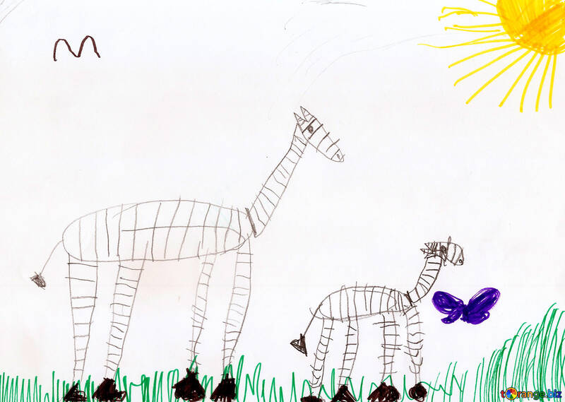 Дитячий малюнок зебри №42822