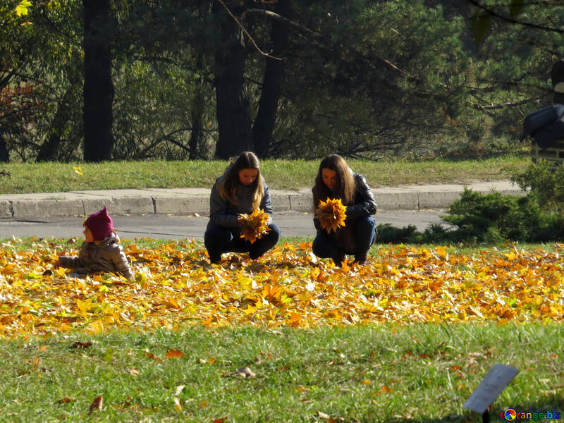 Coroas de folhas de outono №42219