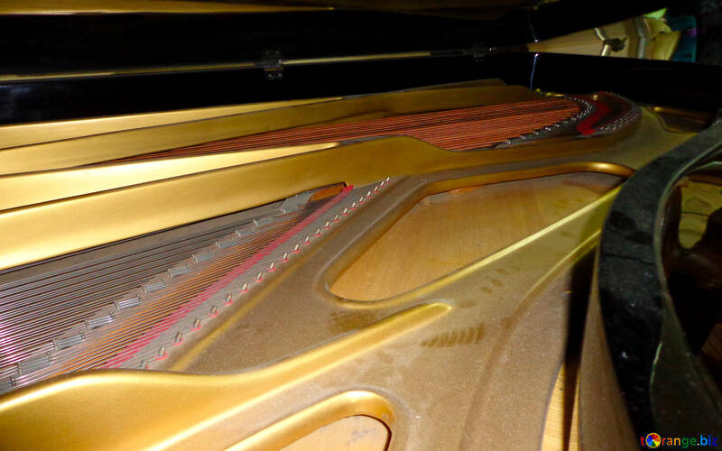 Inside a grand piano №42924