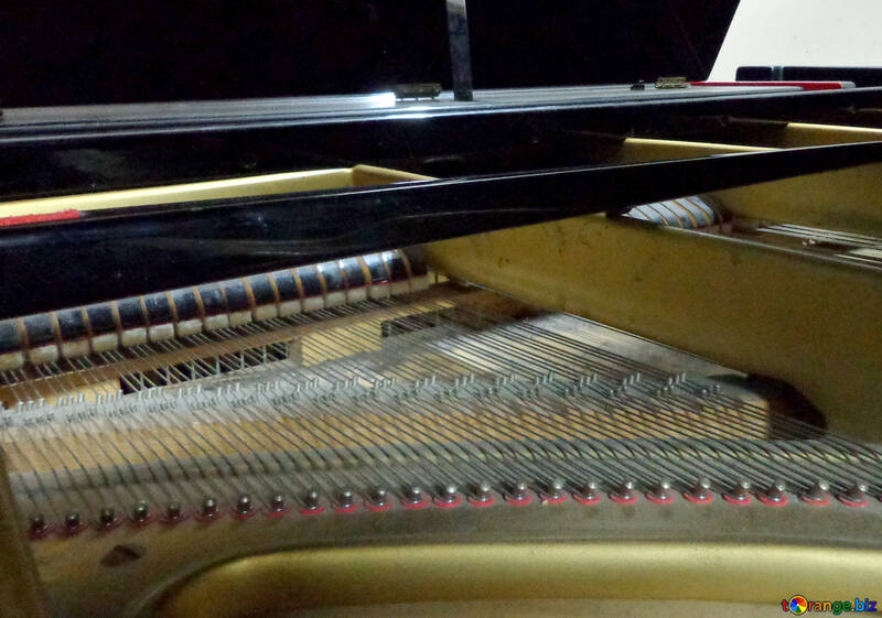 The strings of the piano №42960