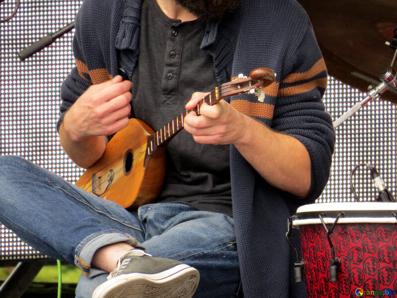 Guitarra georgiano Panduri №42455