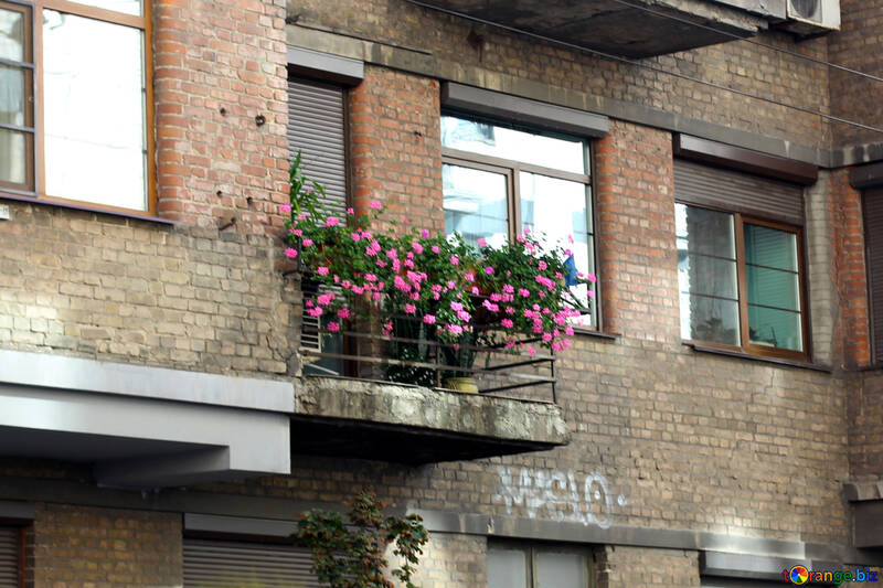 Alter Balkon mit Blumen №42089