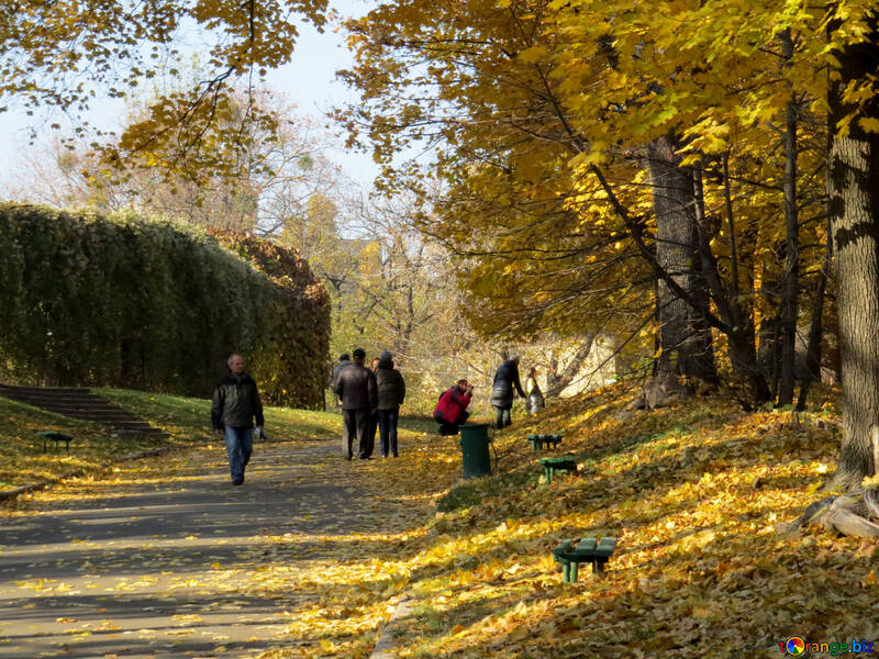 El caminar en el parque del otoño №42215