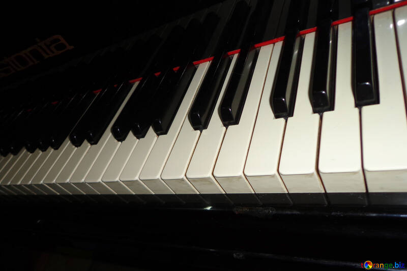 Клавіші рояля №42909