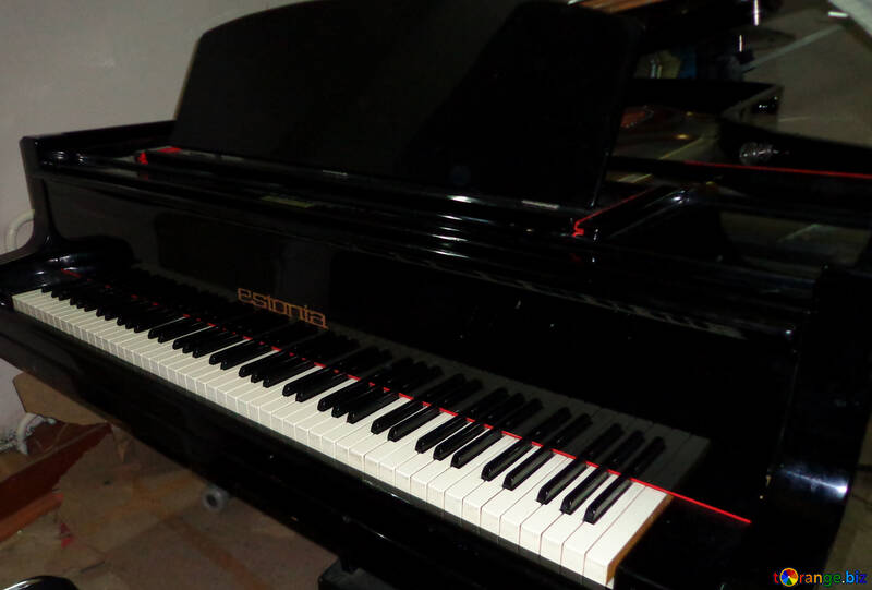 Piano keys №42912