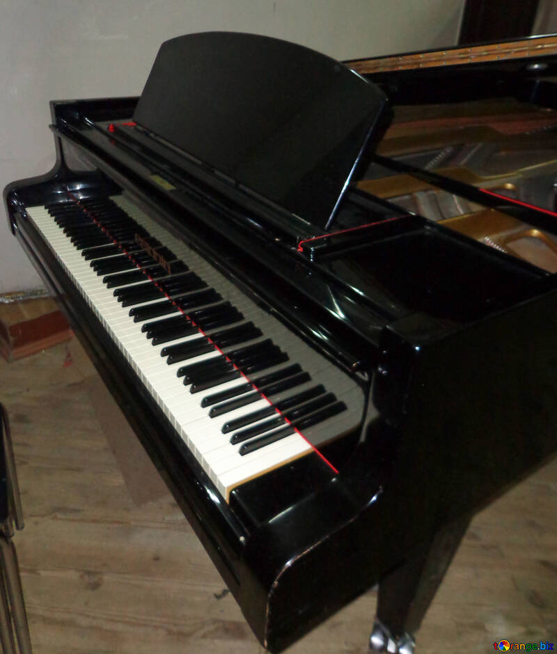 Клавіші рояля №42916