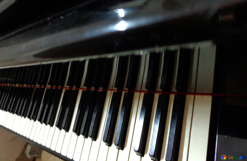 Piano keys №42948