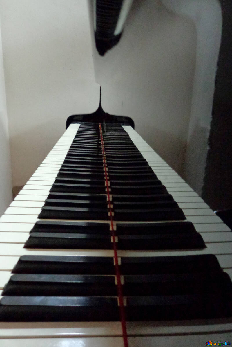 Клавіші рояля №42949