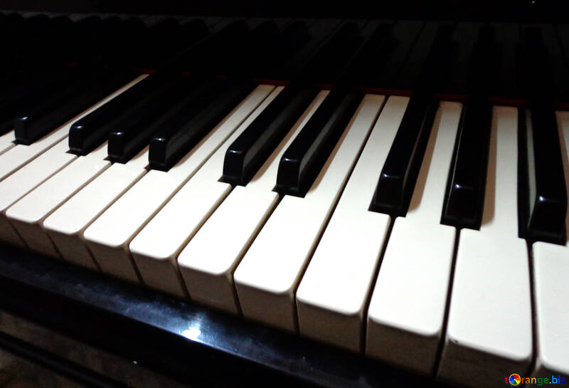 Piano keys №42951