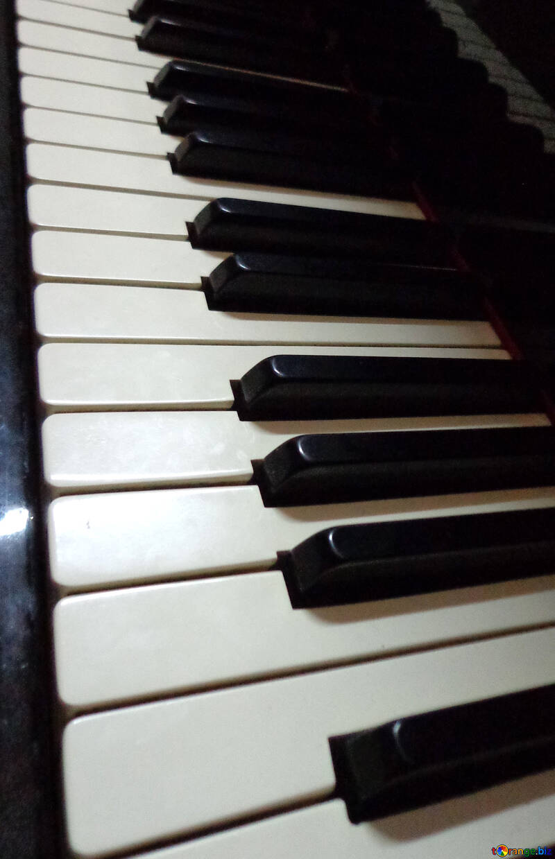 Piano keys №42952