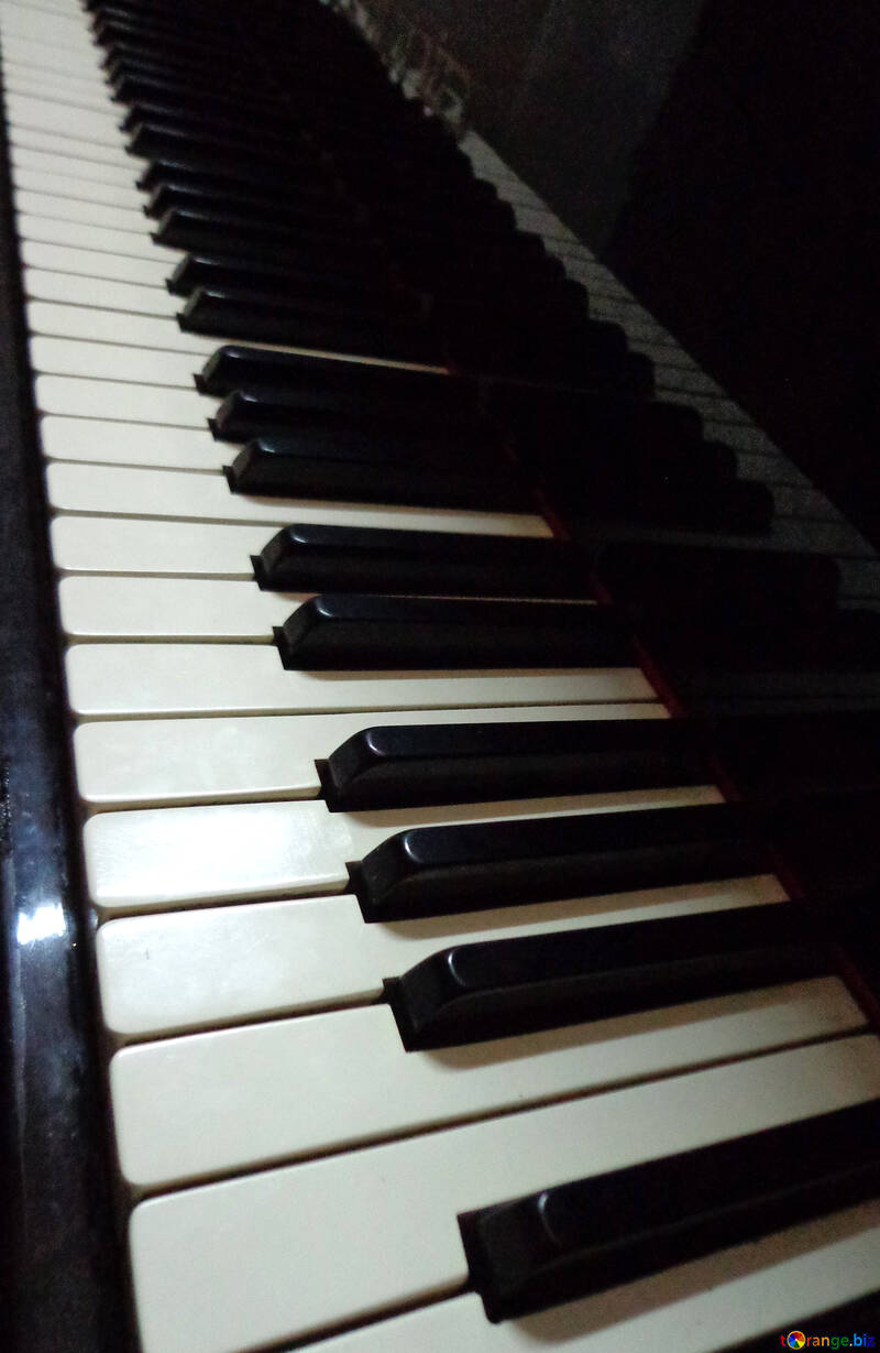 Piano keys №42953