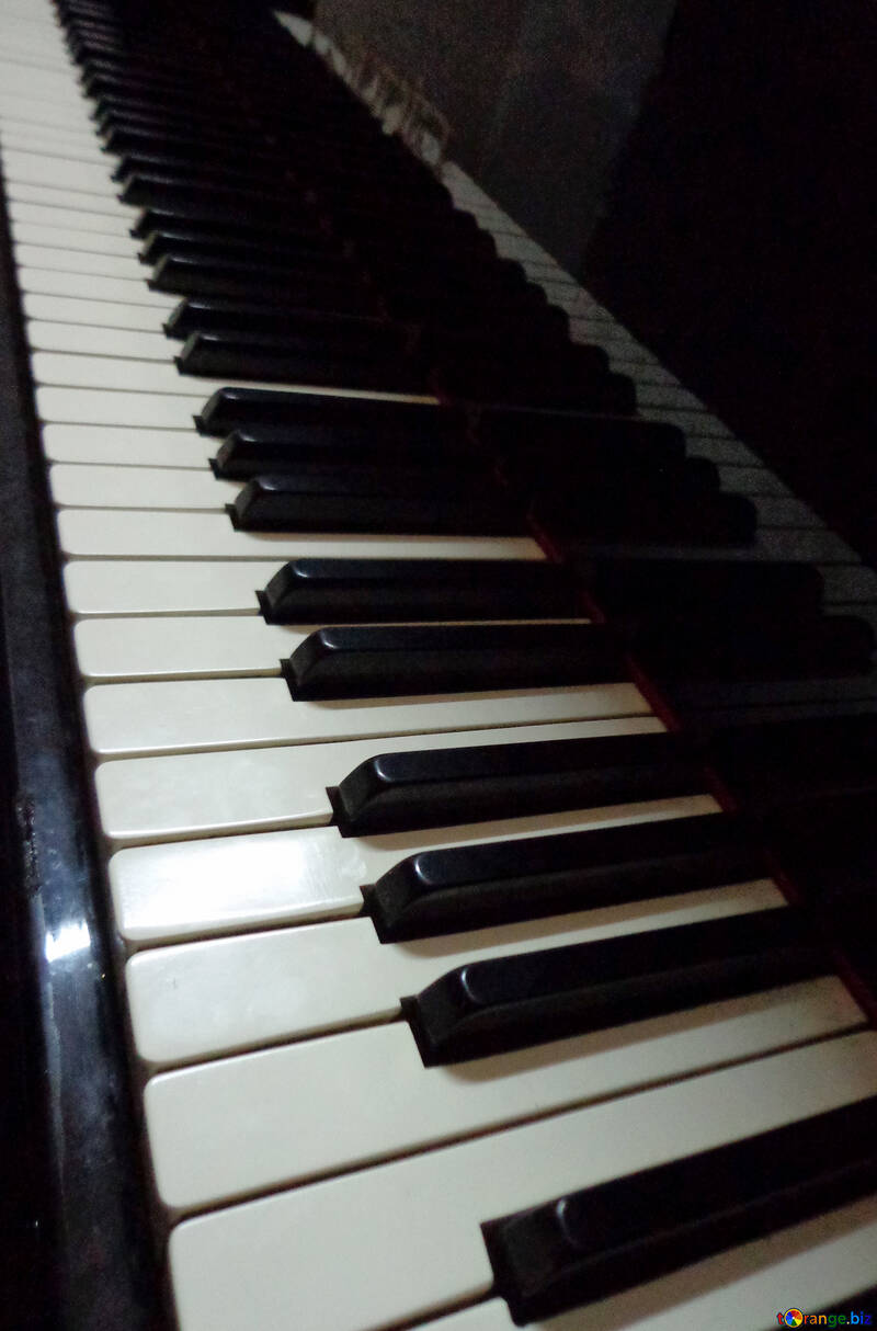 Piano keys №42954