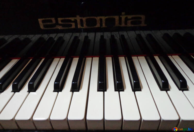 Piano keys №42955