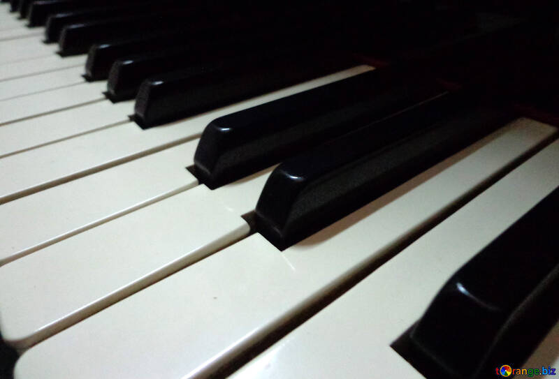 Piano keys №42957